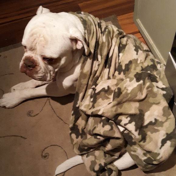 Halloween Party with @1605closet and Myself 🎃🤪🎉 Monday 6th - Picture 7 of 15